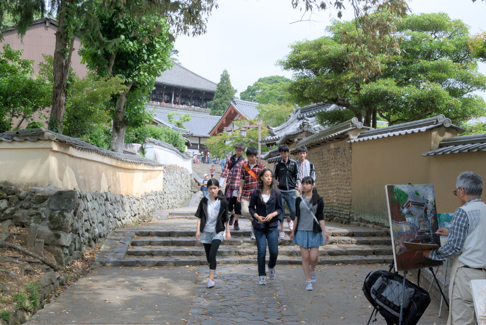 La rue pittoresque de Nara